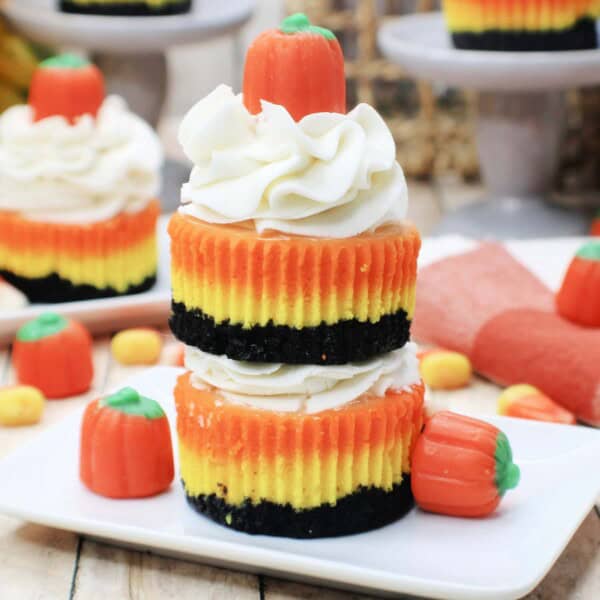 Mini Candy Corn Cheesecake feature