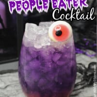 Purple People Eater Cocktail pin