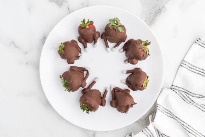 Chocolate-Covered Strawberry Turkeys in a circle.