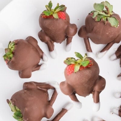 Chocolate Covered Strawberry Turkeys Feature