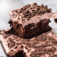 Chocolate Poke Cake feature