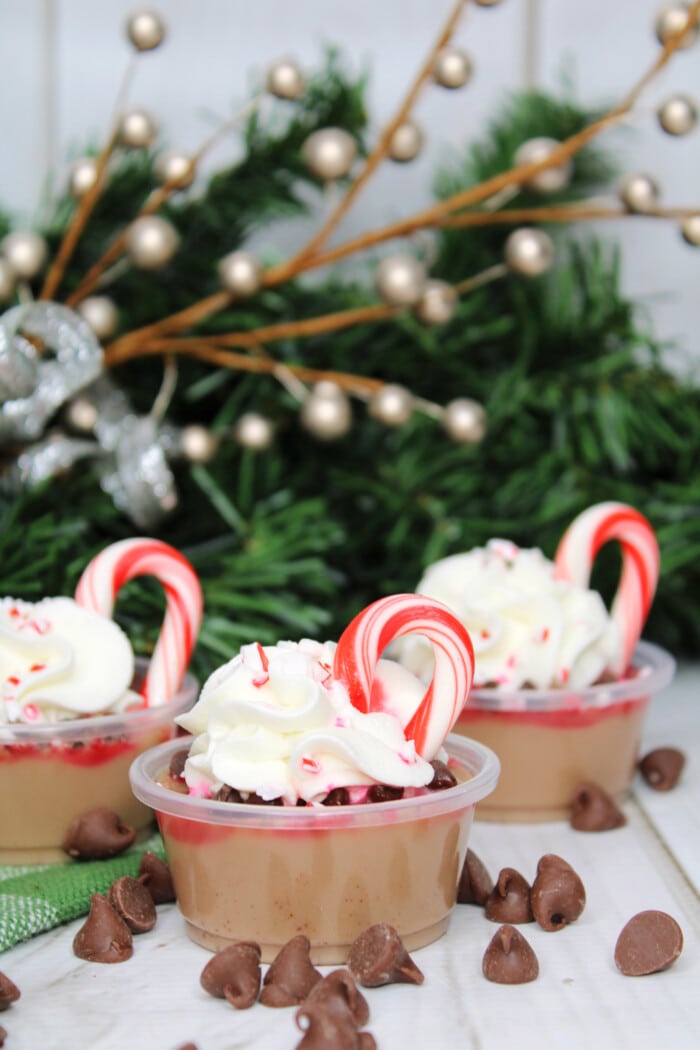 Peppermint Cocoa Jello Shots with chocolate chips around it.