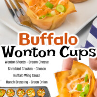 Buffalo Wonton Cups pin