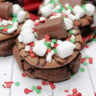 Frosted Hot Cocoa Cookies Feature