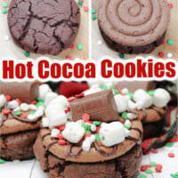 Frosted Hot Cocoa Cookies Pin