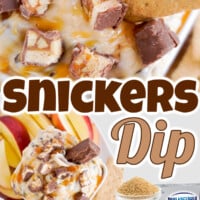 Snickers Dip pin