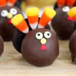 Turkey Cake Balls feature