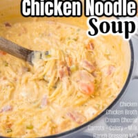 Crack Chicken Noodles Soup Pin