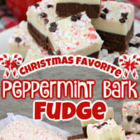 Peppermint Bark Fudge pin
