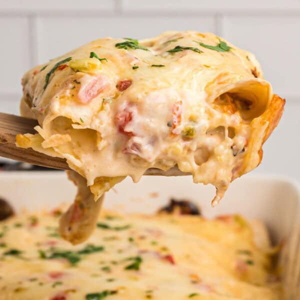 White Queso Chicken Enchiladas feature