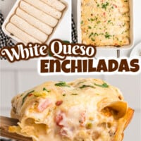 White Queso Chicken Enchiladas pin