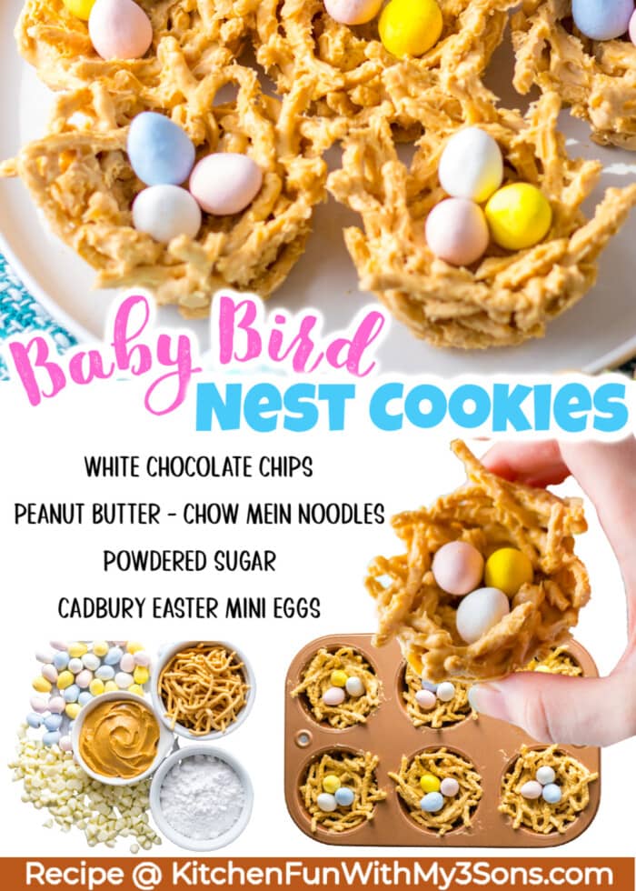 Bird Nest Cookies pin
