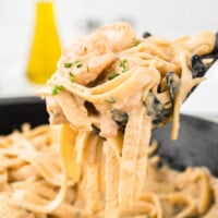 A spoonful of creamy lemon shrimp pasta over the pan