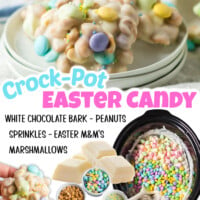 Easter Crockpot Candy Pin