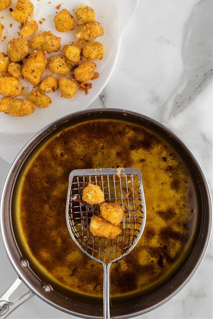 cheese curds fried in oil and on white plate