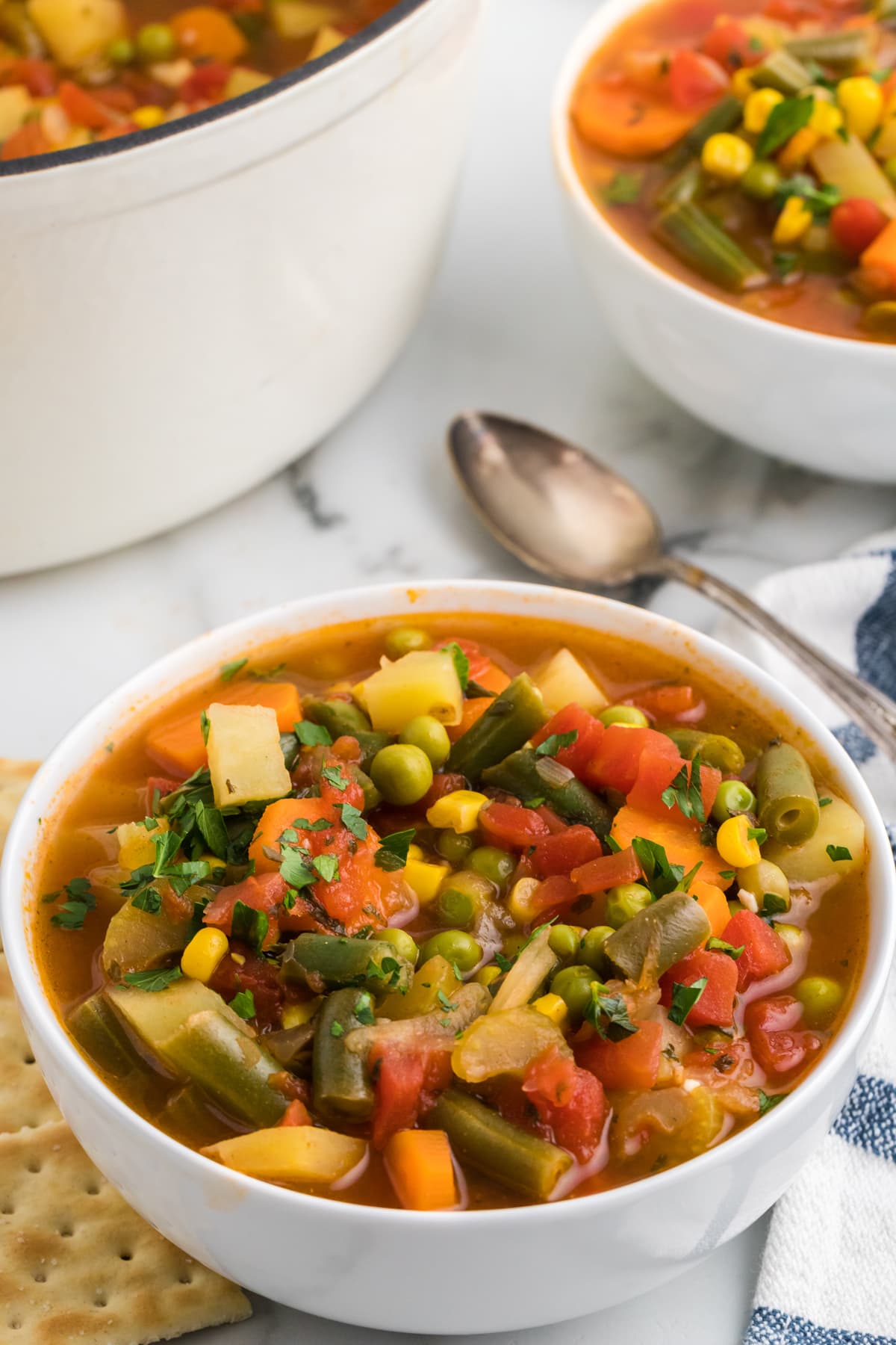 Angled view of a bowl of easy veggie soup