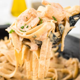 Creamy Shrimp Pasta Feature