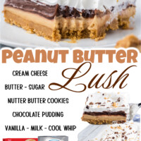 Peanut Butter Lush Pin