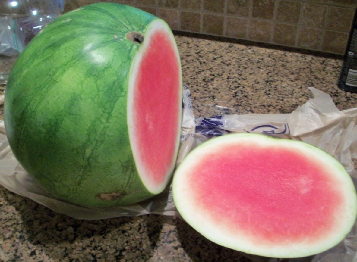 Carving Yoda Watermelon