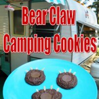 Brownie bear claw cookies pin