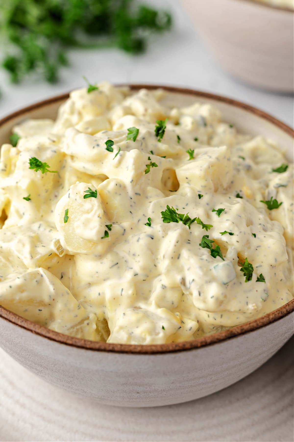 This Creamy Potato Salad recipe is so flavorful and the perfect side dish! creamy potato salad in bowl with parsley