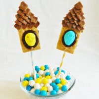 Peeps Bird House S’mores Pops in a bowl with colored balls