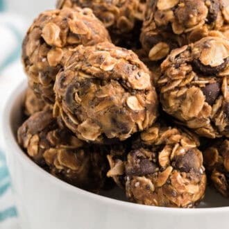 Protein Balls feature