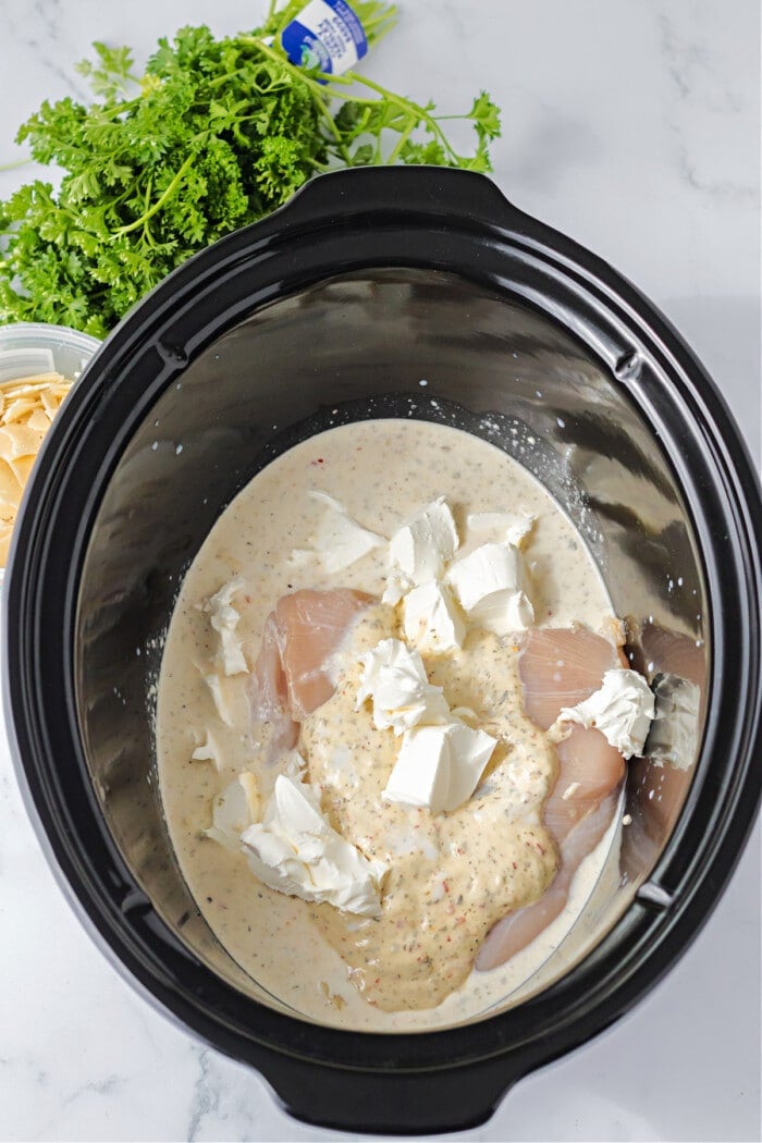 chicken in slow cooker with cream cheese, milk and sauce