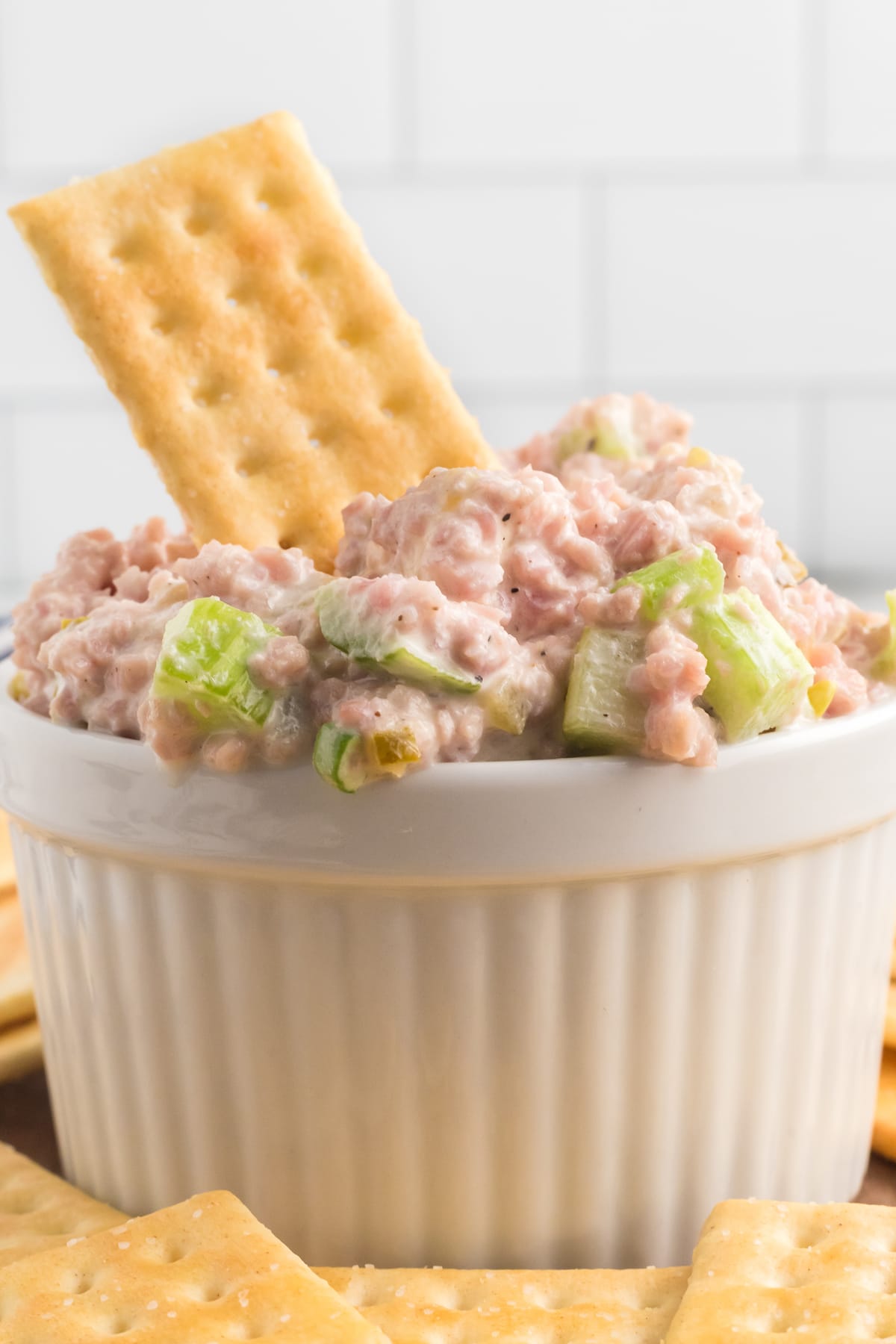 A cracker in a bowl of ham salad