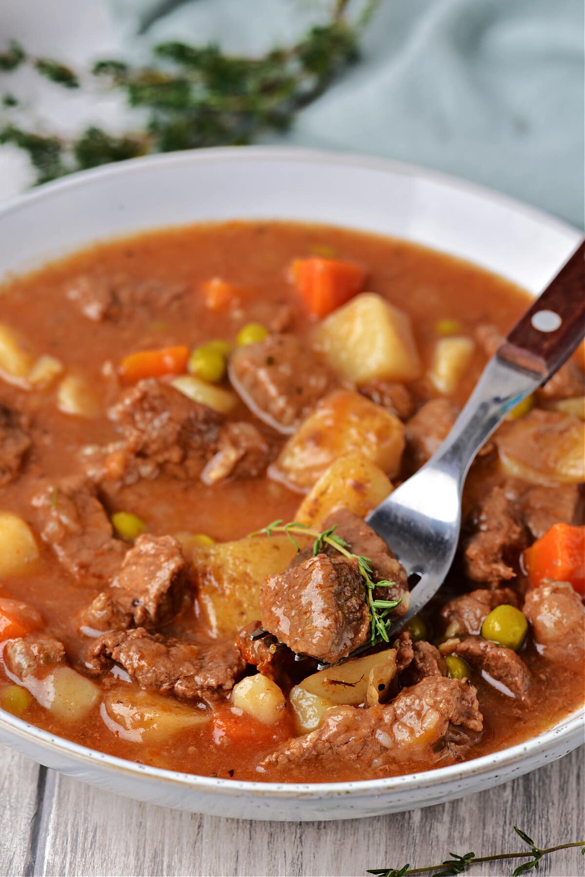 beef stew in bowl with fork