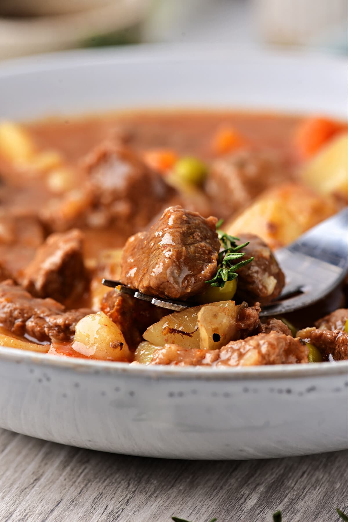 beef stew on fork