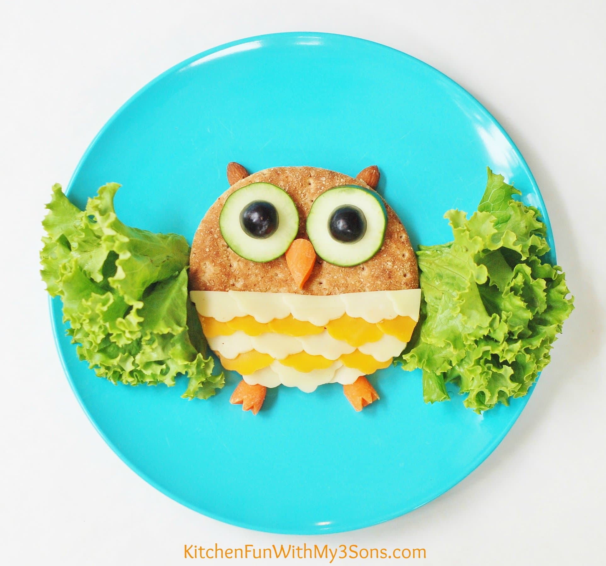 Owl Lunch... a fun & healthy lunch for kids 