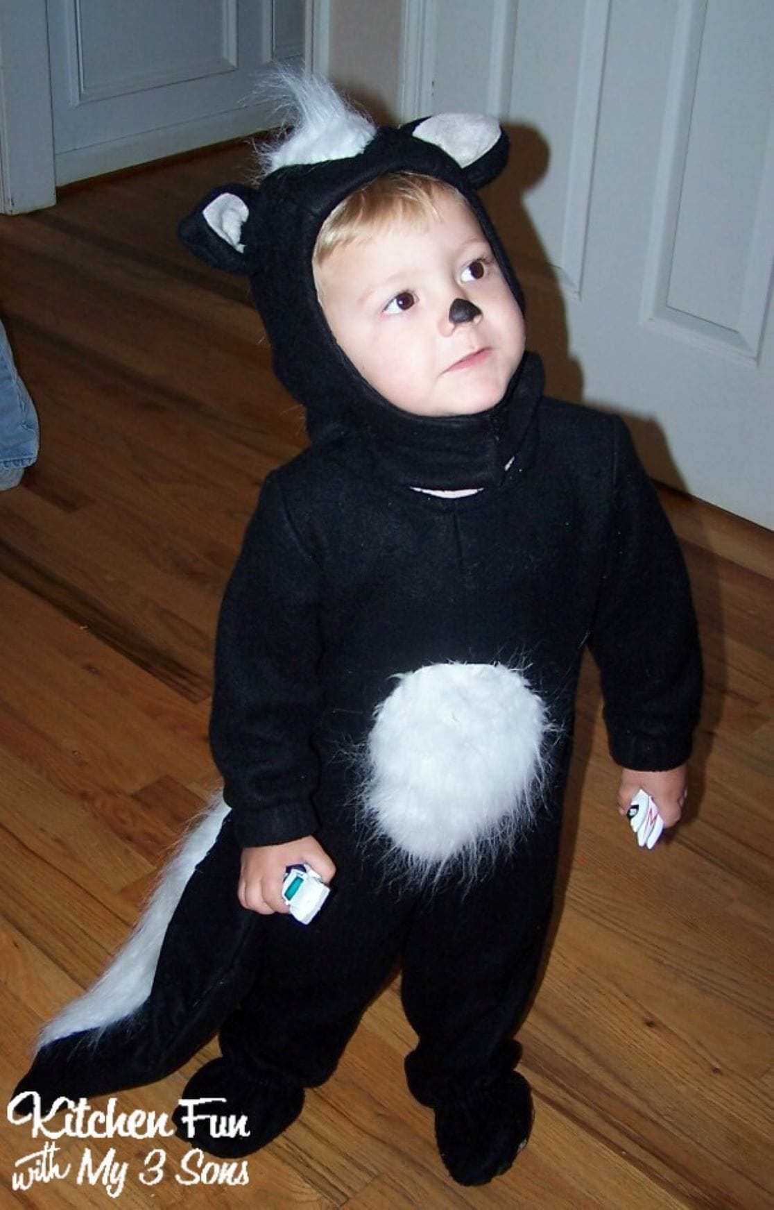 Homemade skunk costume