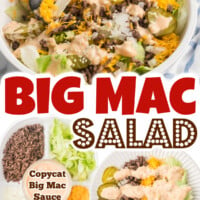 Big Mac Salad pin