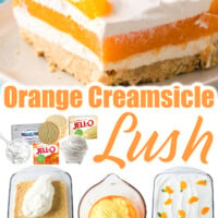 Orange Creamsicle Lush pin