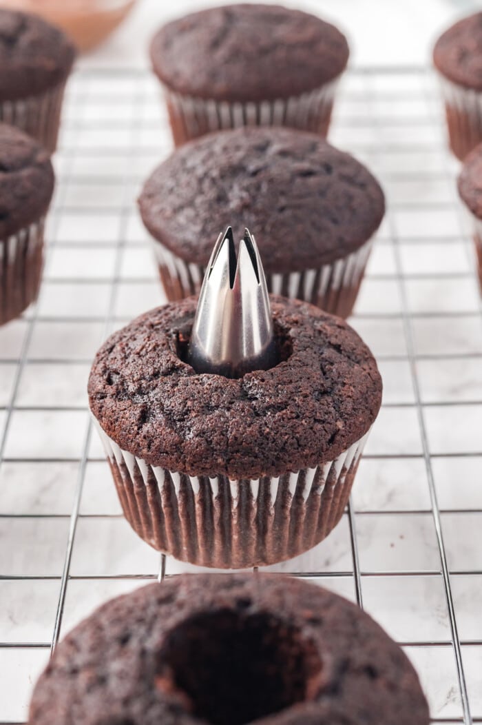 chocolate cupcake with center out