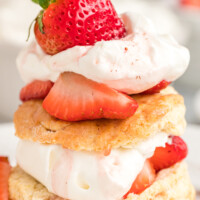 Close up of homemade strawberry shortcake