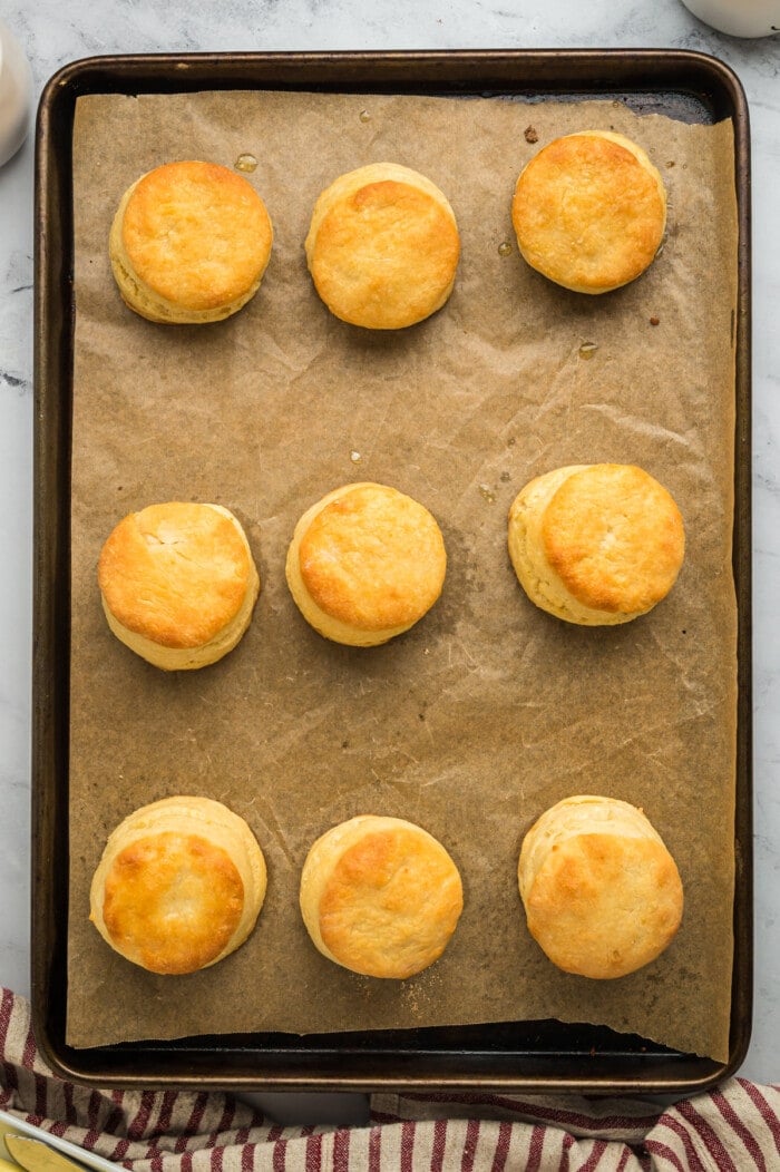 A baking sheet of freshly baked biscuits