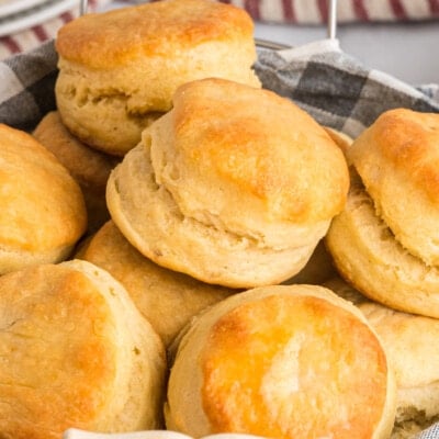 Homemade Biscuits feature