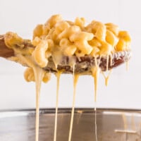 Instant Pot Mac and Cheese feature