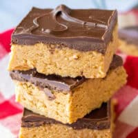 Lunch Lady Peanut Butter Bars feature