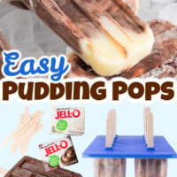 Pudding Pops pin