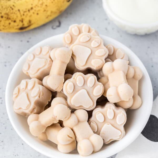 A bowl of dog ice cream shaped like paw prints and bones in a bowl