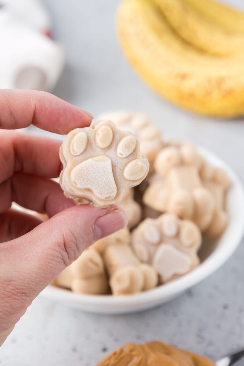 Curated visual reference: Fresh Look at Easy Dog Ice Cream L Kitchen Fun With My 3