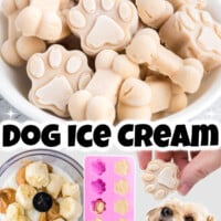 Dog Ice Cream pin
