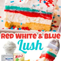 Red White and Blue Lush Pinterest