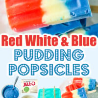 Red White and Blue Popsicles pin