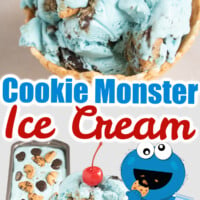 Cookie Monster Ice Cream pin