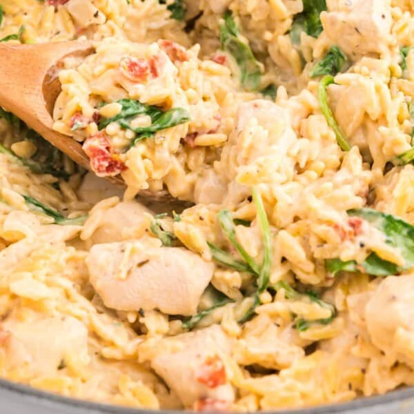 Creamy Chicken Orzo feature