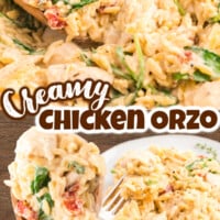 Creamy Chicken Orzo pin